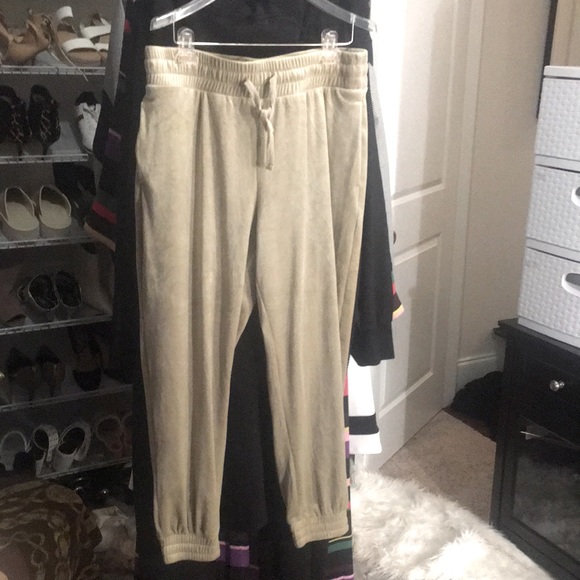 Express Pants - NWT Express velour jogger pants.